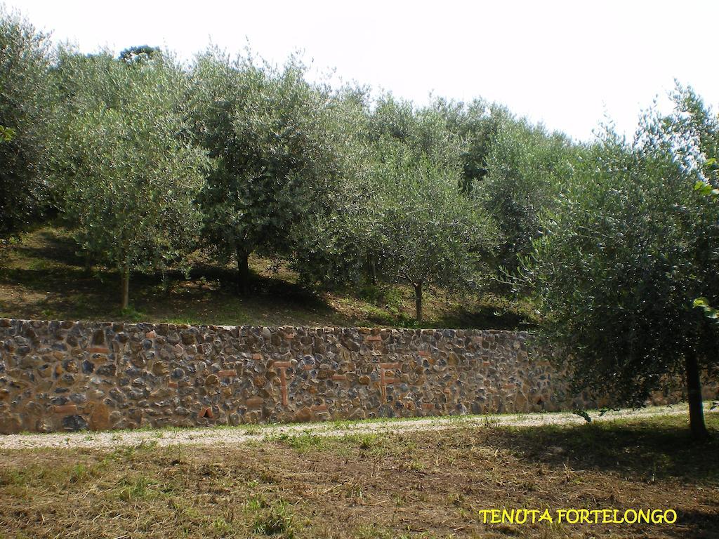 Tenuta Fortelongo Fara Vicentino Exterior photo